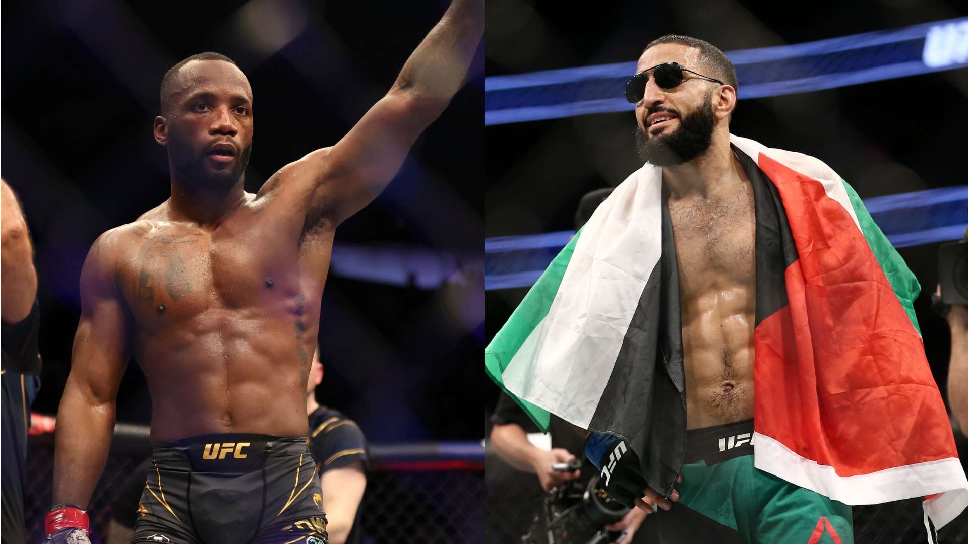 也是对团队 也是对团队