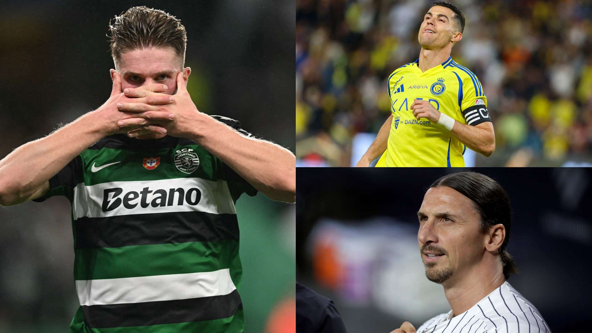 的职业态度 的职业态度